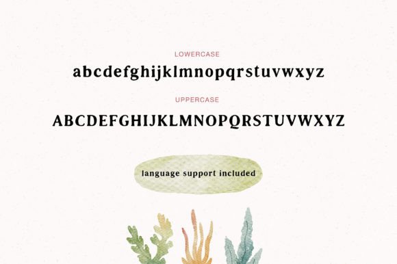 Sea Shell Font PNG with transparent background - Preview 2