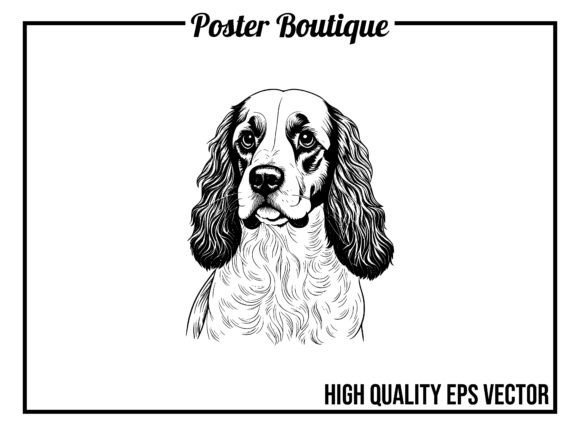 Spaniel Dog Vector EPS Graphic Illustrations By Poster Boutique