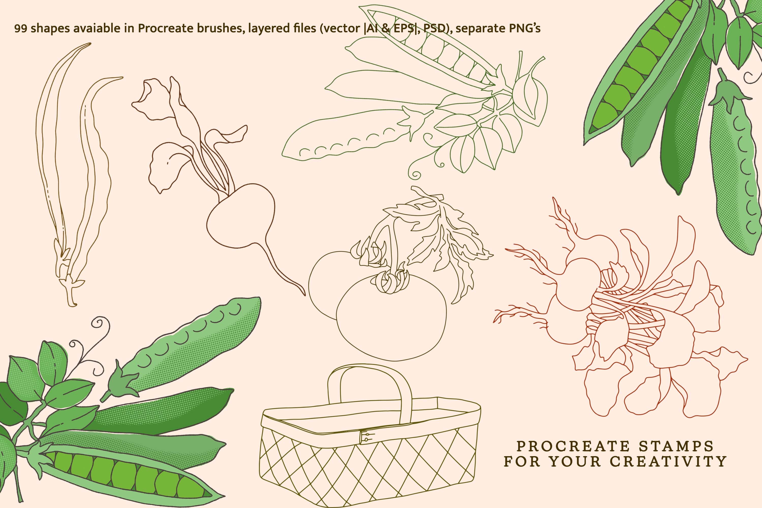 Fruit and Veggies Procreate Brushes - photo 2