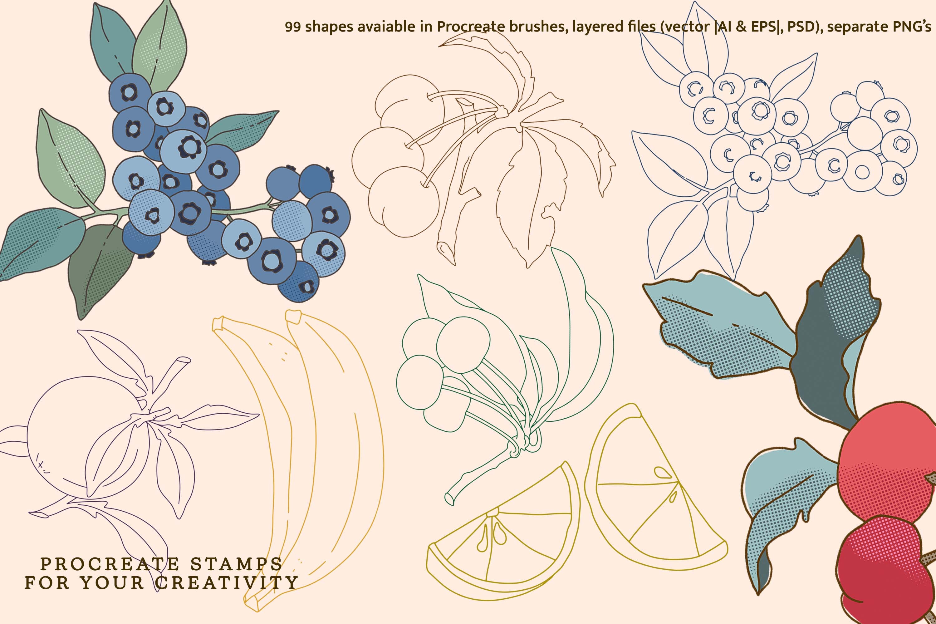 Fruit and Veggies Procreate Brushes - photo 3