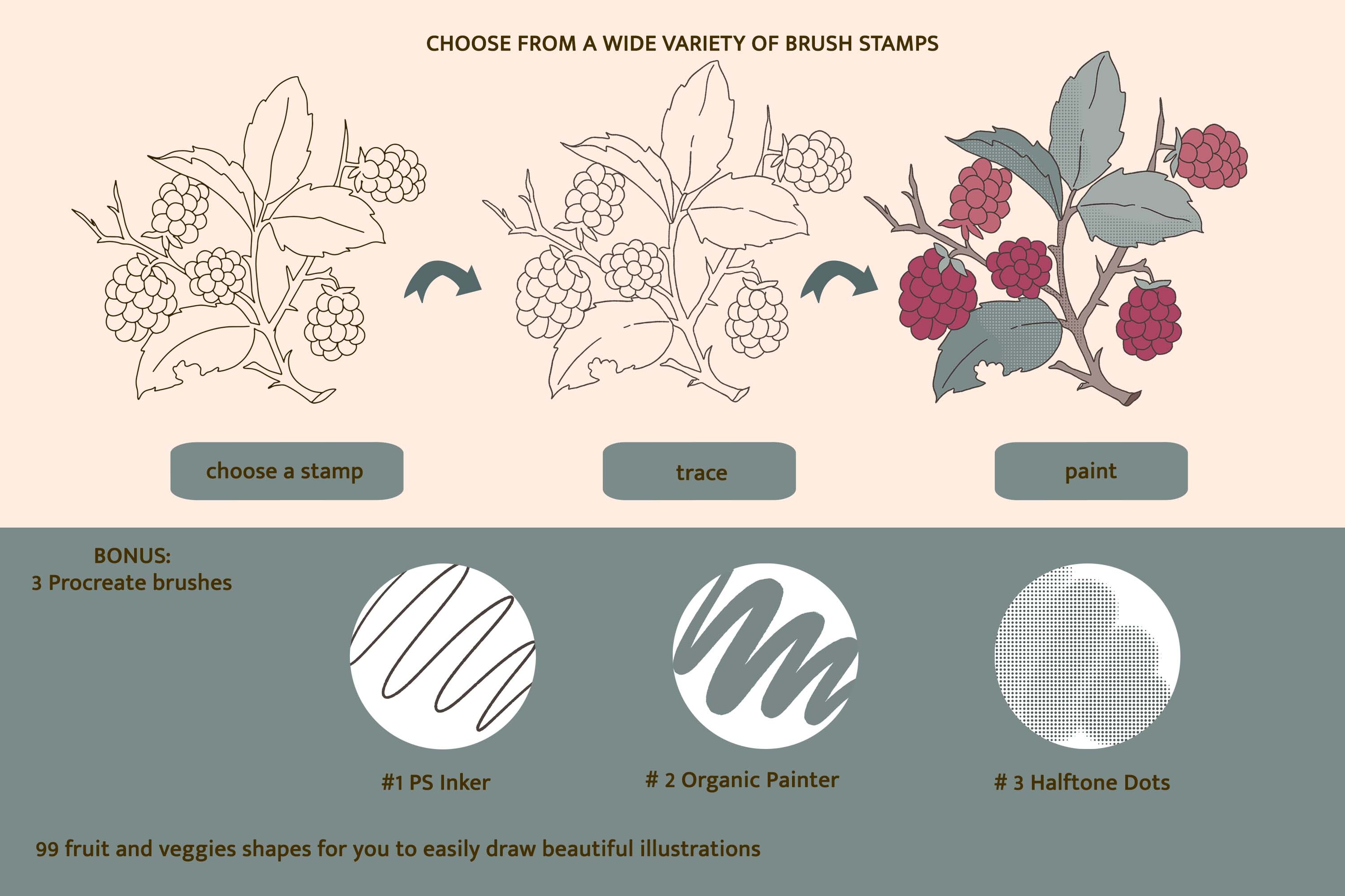 Fruit and Veggies Procreate Brushes - photo 6
