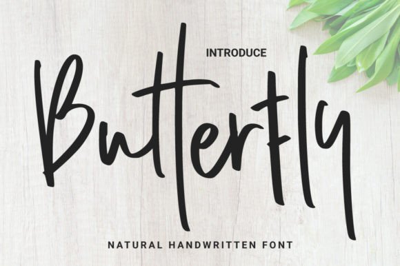 Butterfly Script & Handwritten Font By BaeMary
