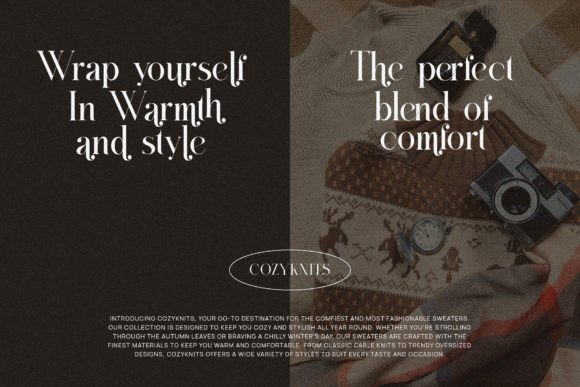 Bagier Font - Preview 3