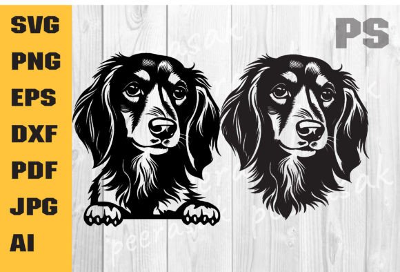 Longhaired Dachshund Svg, Dog Face