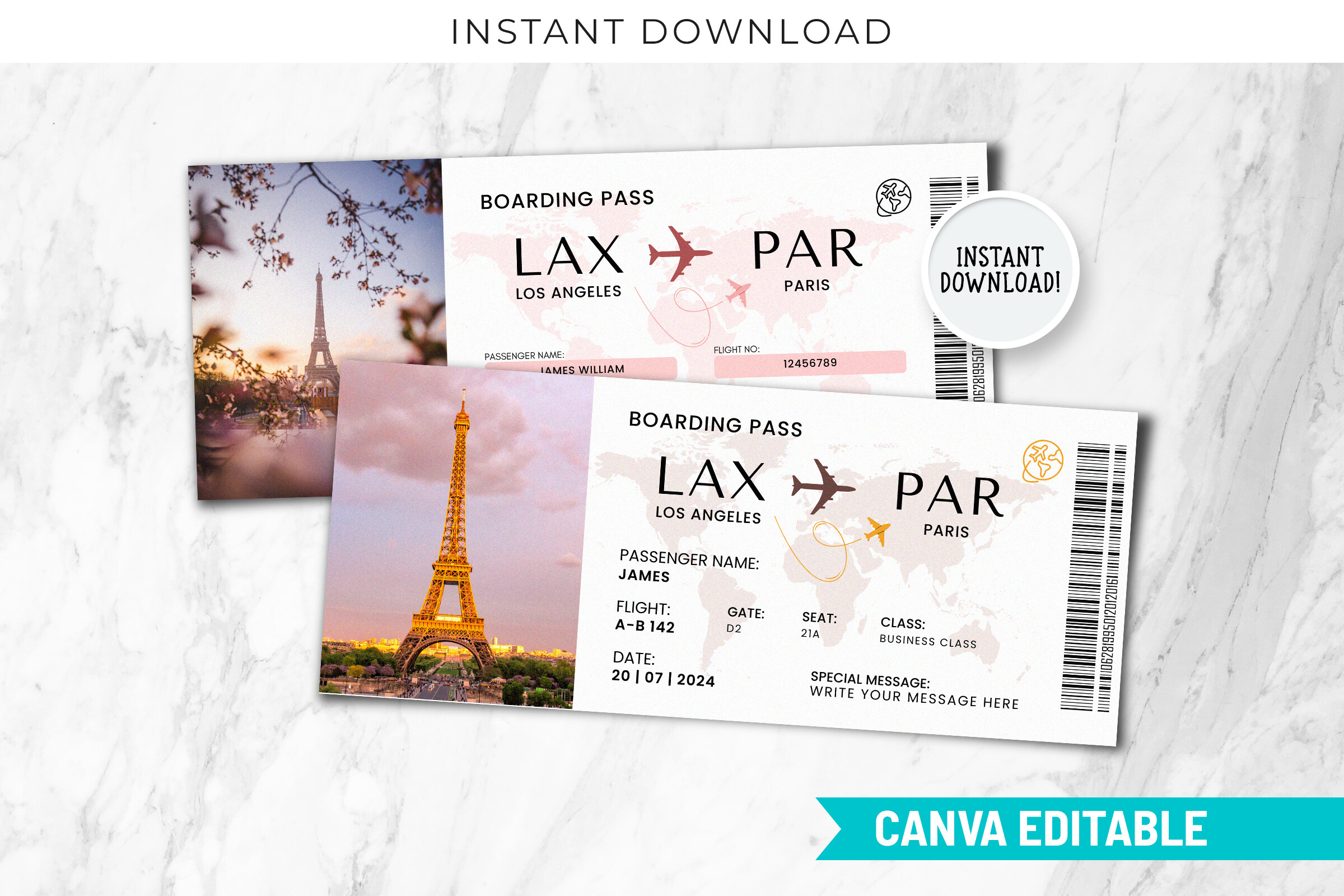 Paris Travel Trip Ticket Template