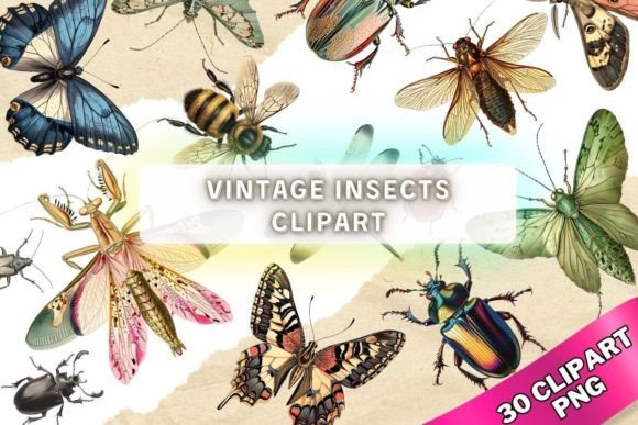 Vintage Insect Bugs Clipart PNG Graphic Print Templates By kraftcake