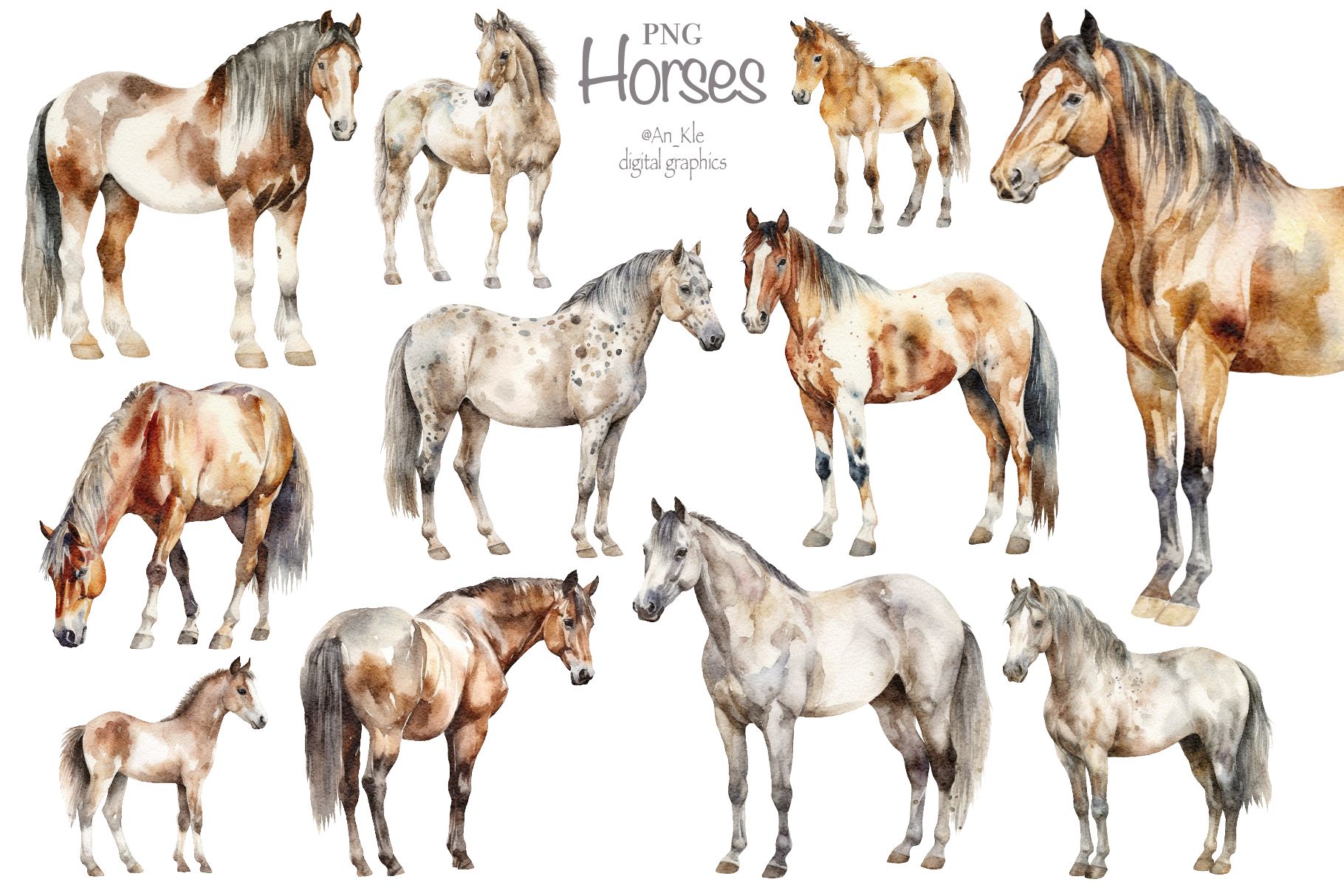 Horses
