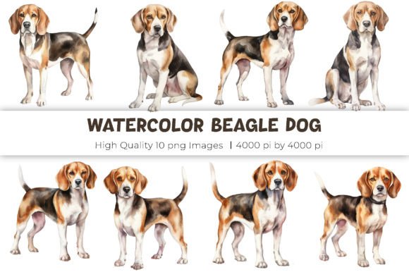 watercolor beagle dog clipart PNG for sublimation tumbler and gift mug designs