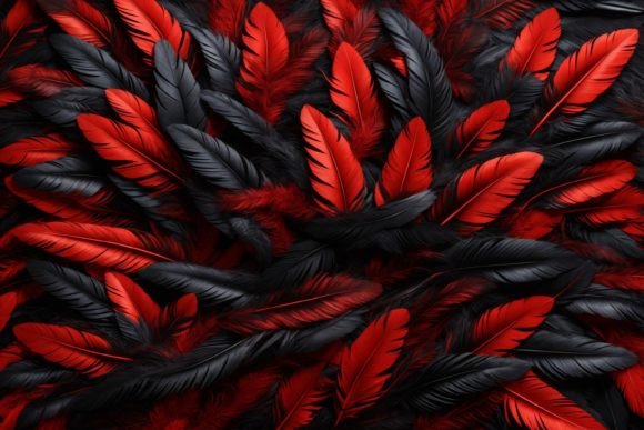 Black Feather Background