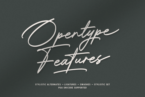 Bradford Signature Font - Preview 1