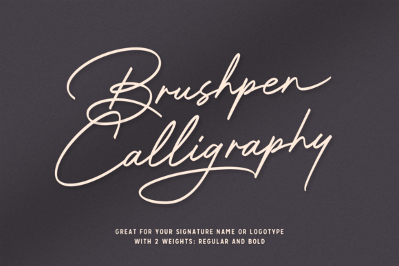 Bradford Signature Font - Preview 2