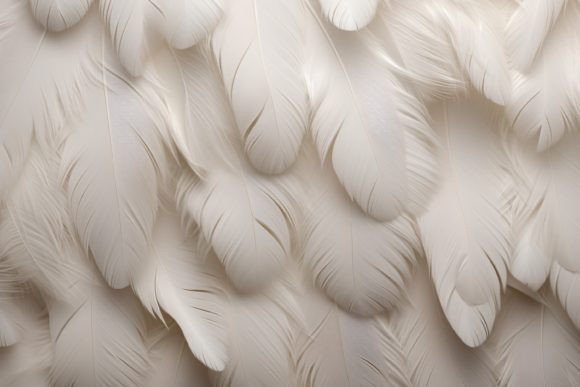 Feather Texture