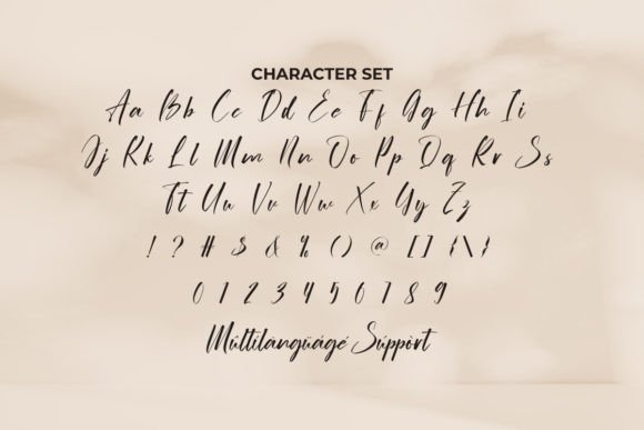 Ordinary Signature Font PNG with transparent background - Preview 2