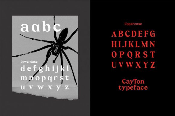 Cayton Font - Preview 2