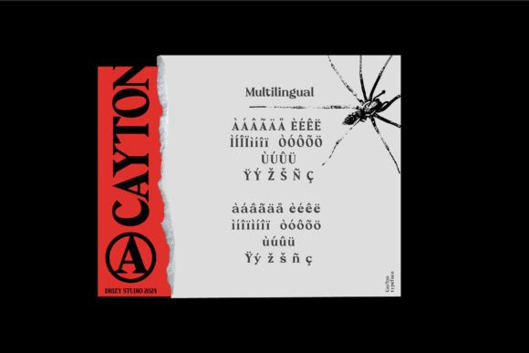Cayton Font - Preview 3