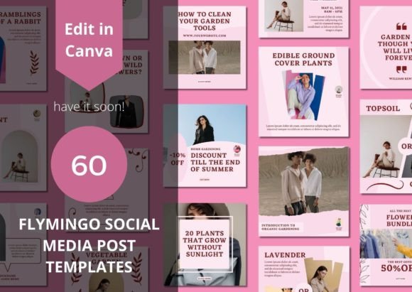 60 Flymingo Social Media Canva Templates