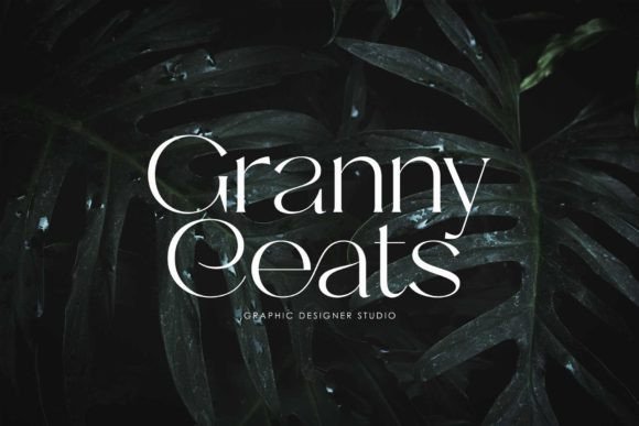 Allegin Font - Preview 6