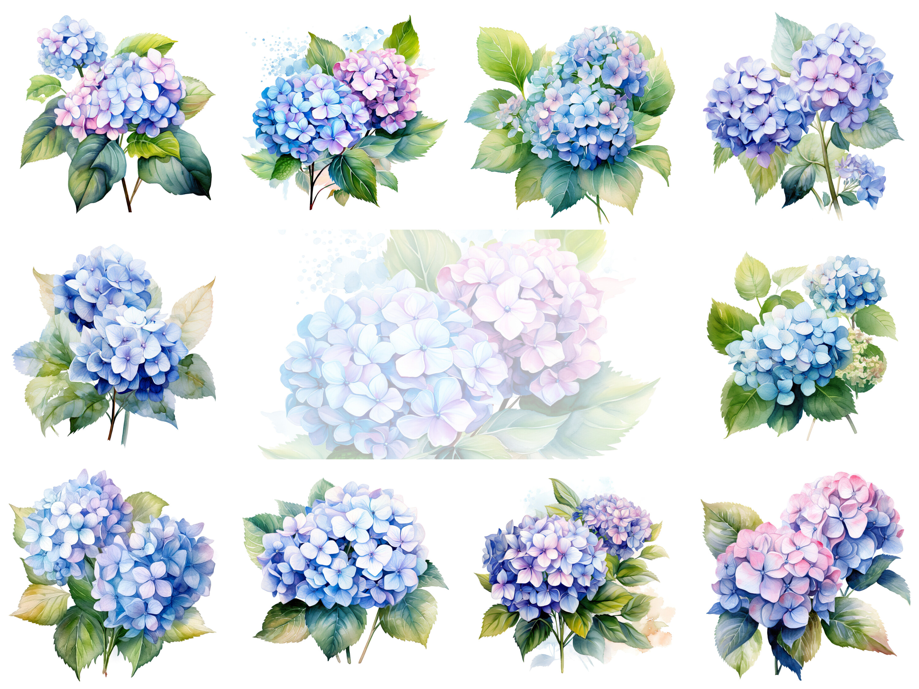 Hydrangeas Watercolor Flowers Clipart Graphic by Andreas Stumpf Designs ...