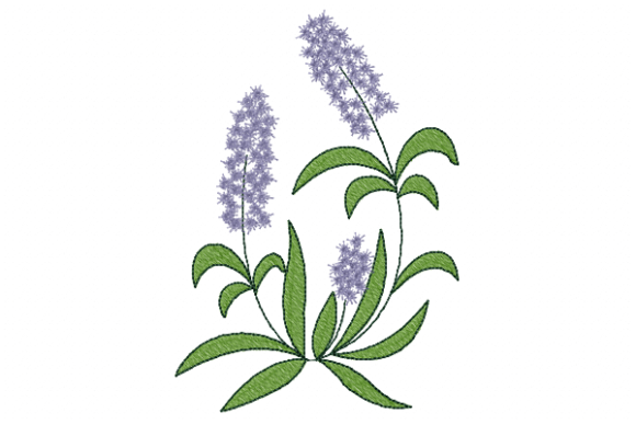 Lavender Embroidery Design