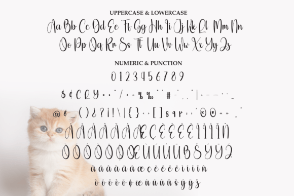 Beauty Kitten Font - Preview 6