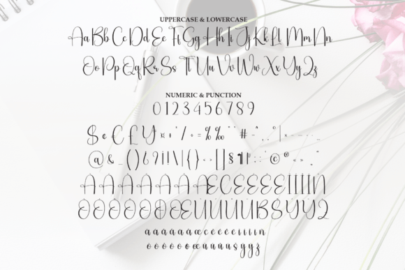 Calligraphy Font - Preview 6