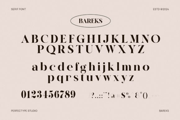Bareks Font - Preview 5
