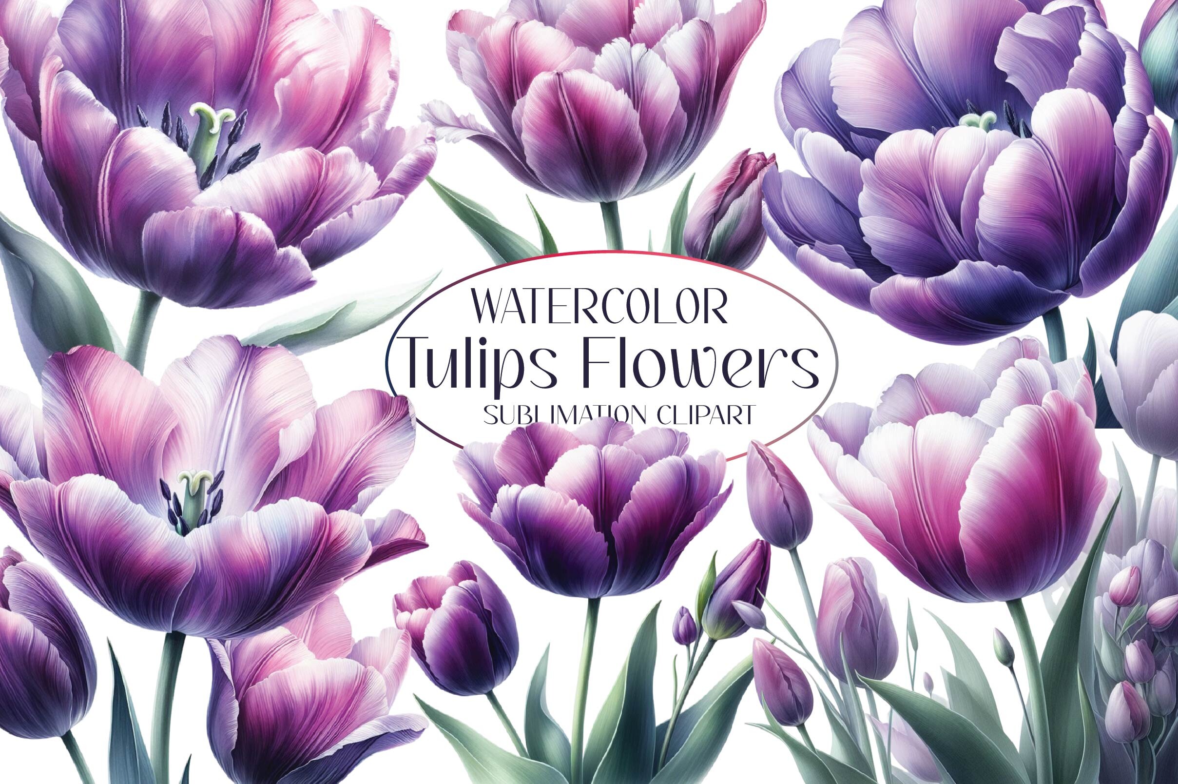 Watercolor Tulips Clipart Bundle