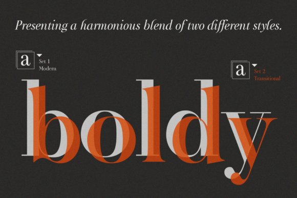Chic Style (serif Family) Font - Preview 2