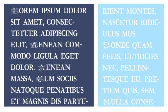 Everlove Split Monogram Font - Preview 4