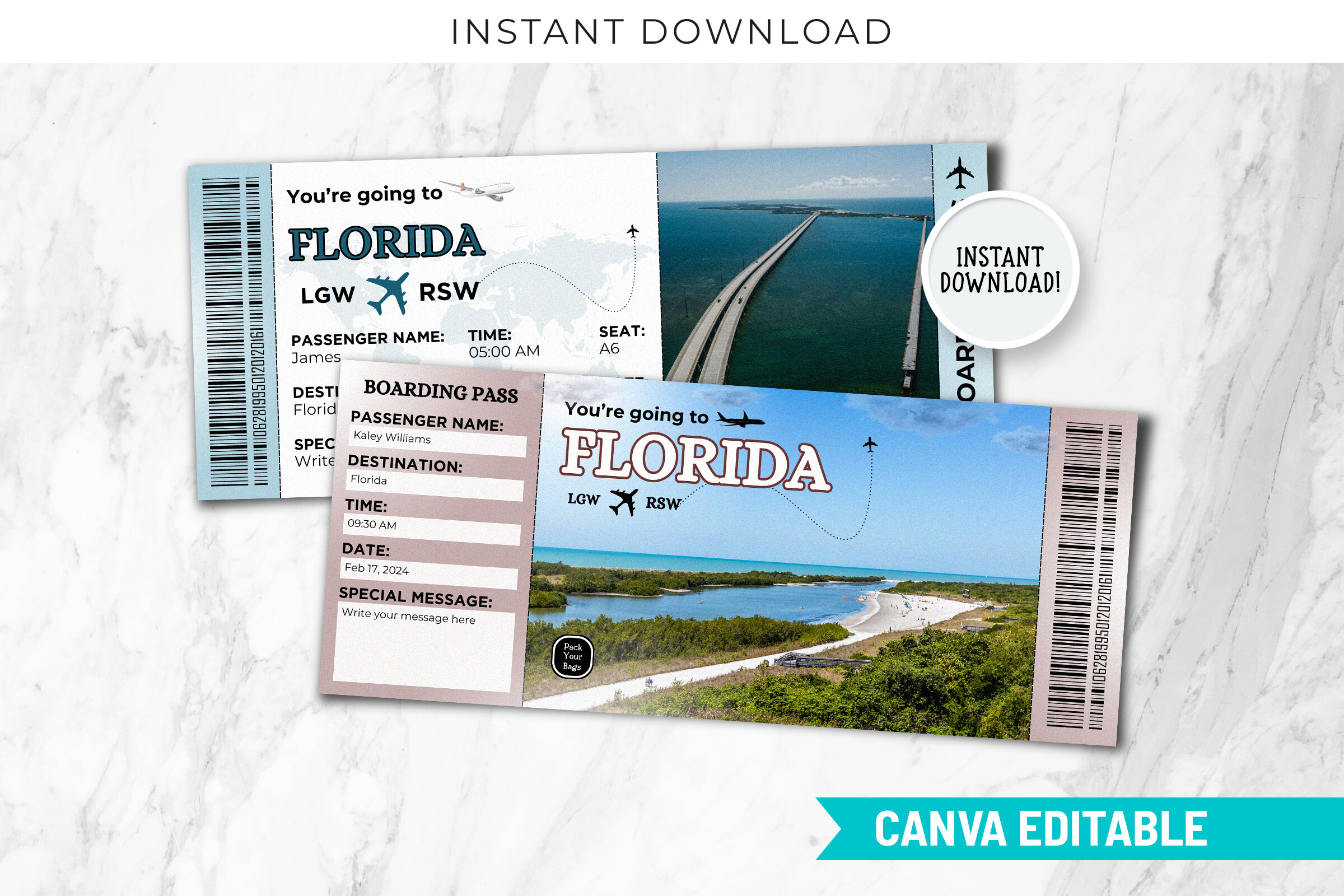 Editable Florida Boarding Pass Template