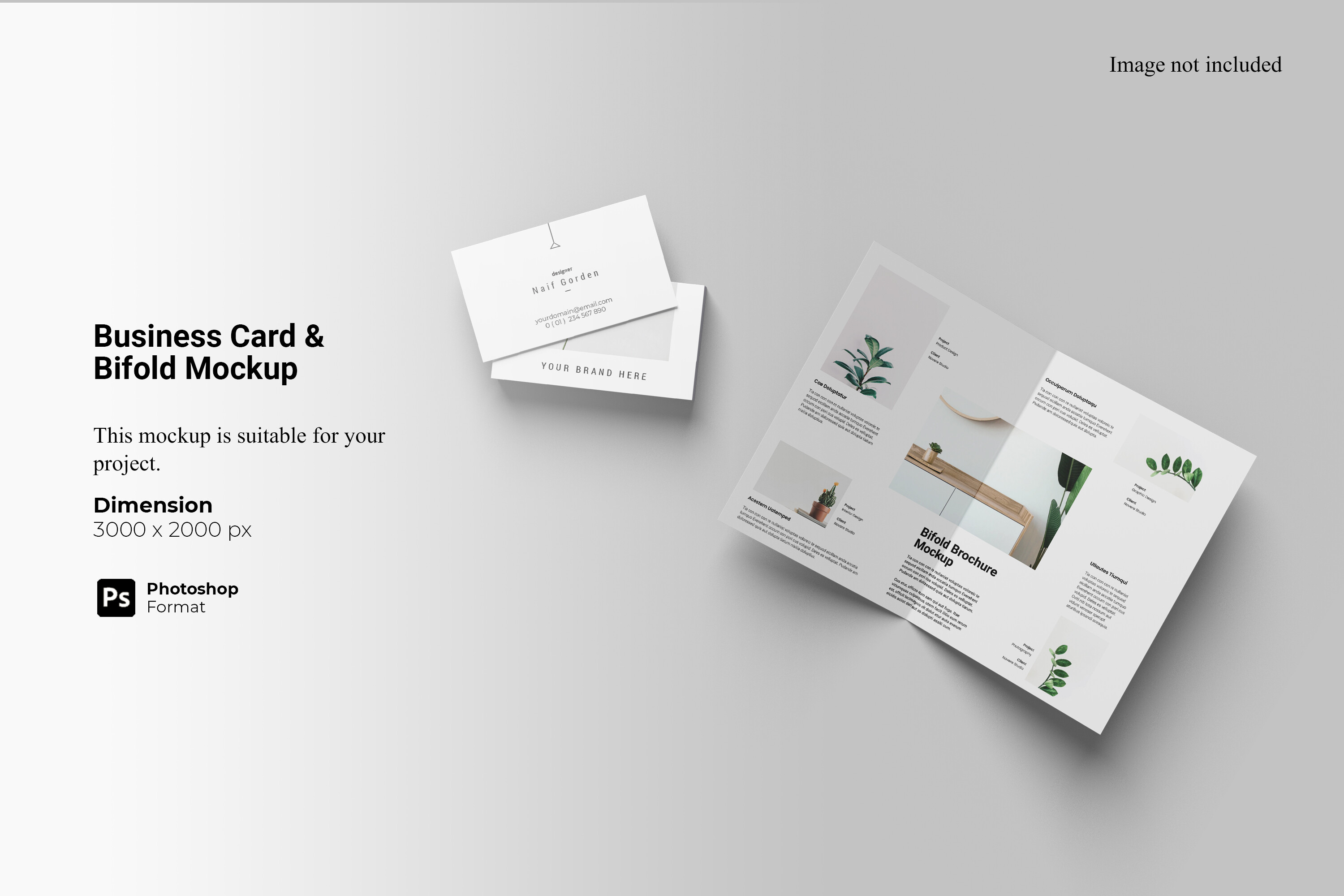 Business Card & Bifold Mockup Graphic by Ian Mikraz · Creative Fabrica