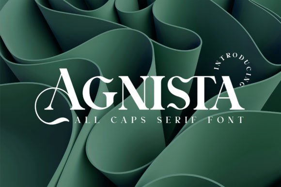 Agnista Serif Font By Idea Studio
