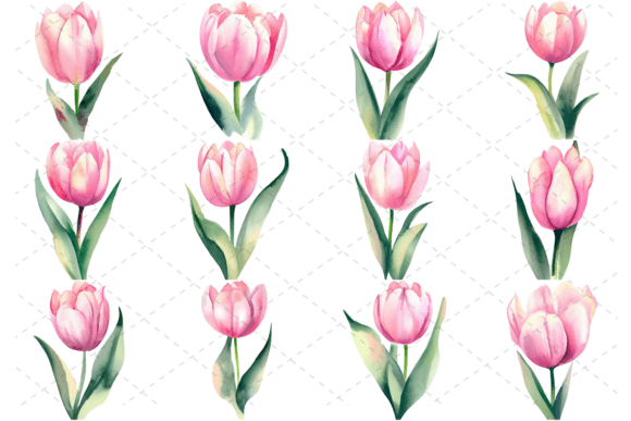 12 Pink Watercolor Tulip Flower Bundle