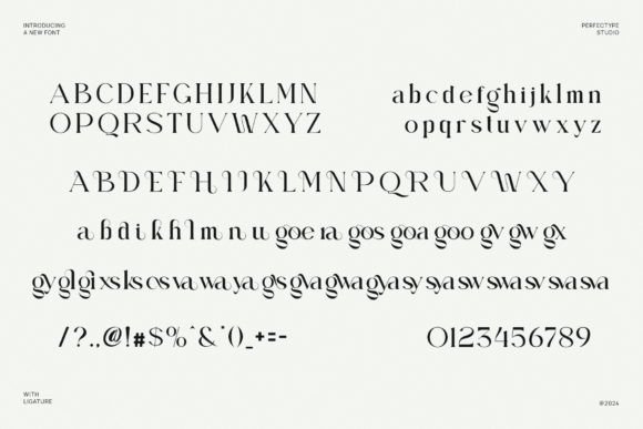 Bigoera Font - Preview 5