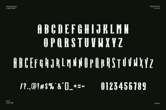 Branid Font - Preview 3