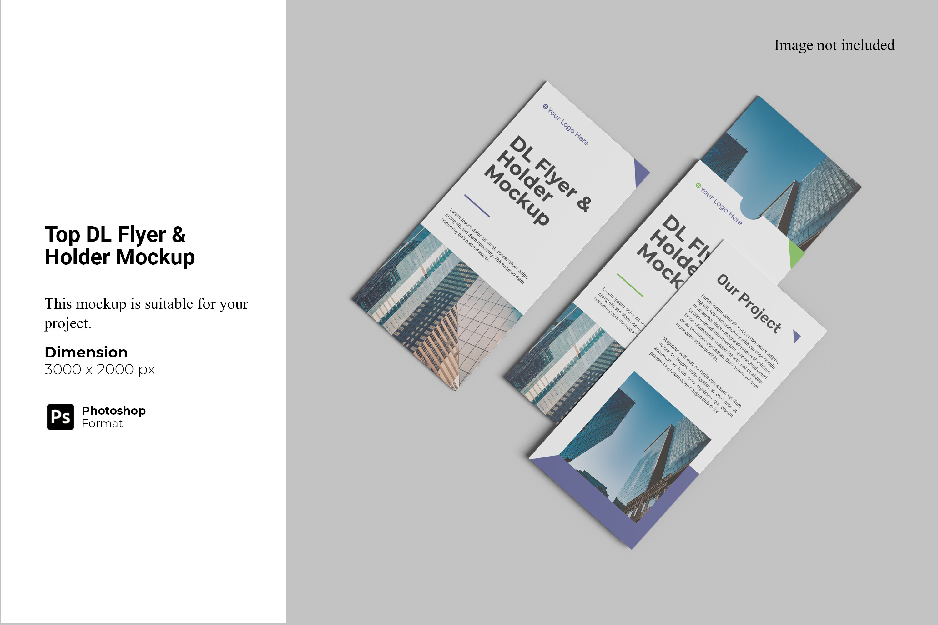 Top DL Flyer & Holder Mockup Graphic by Ian Mikraz · Creative Fabrica