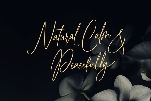 Claire Amoreth Font - Preview 3
