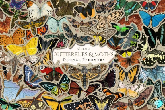 Vintage Butterflies and Moths Ephemera