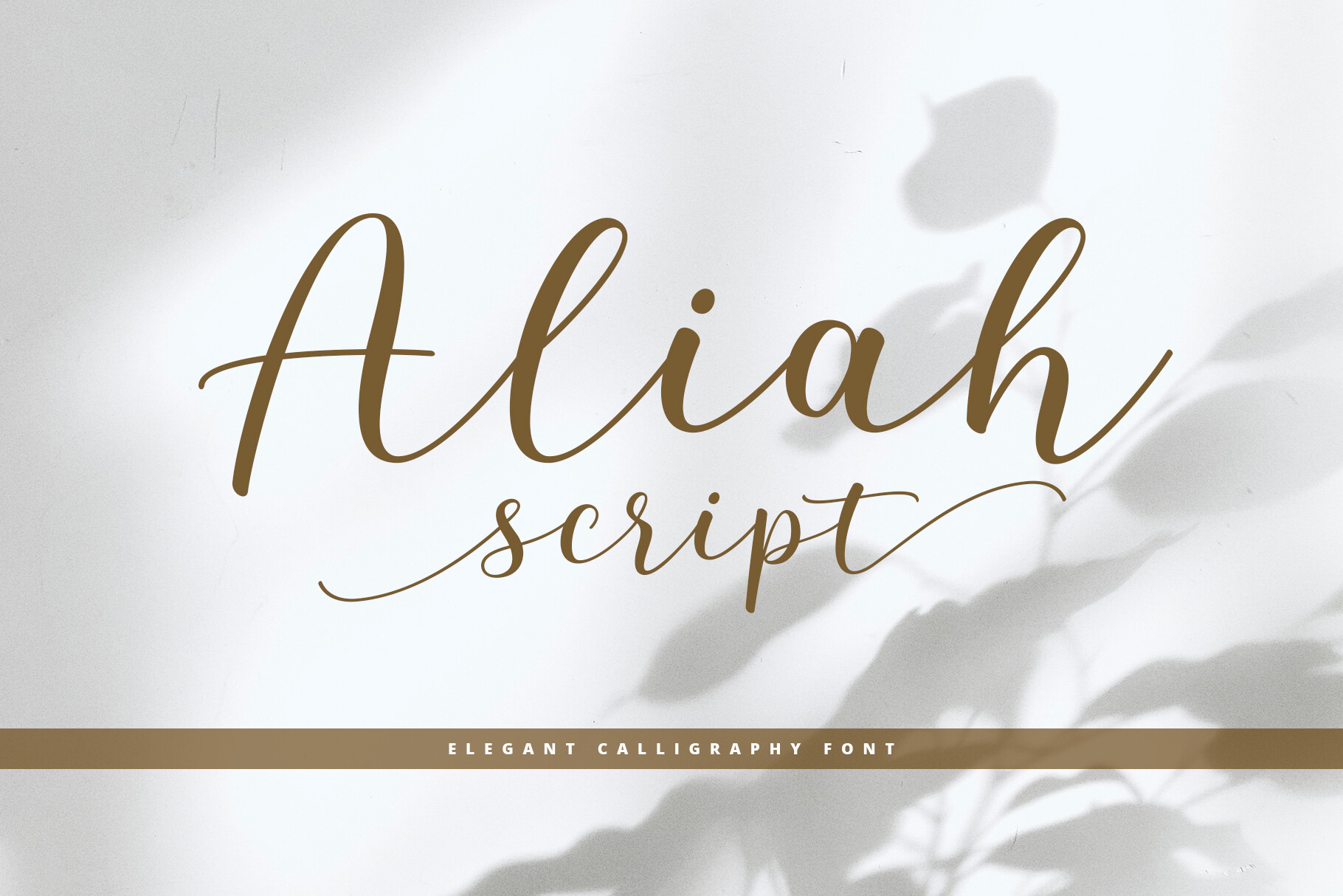 Placeholder image for Aliah Script, preview not available