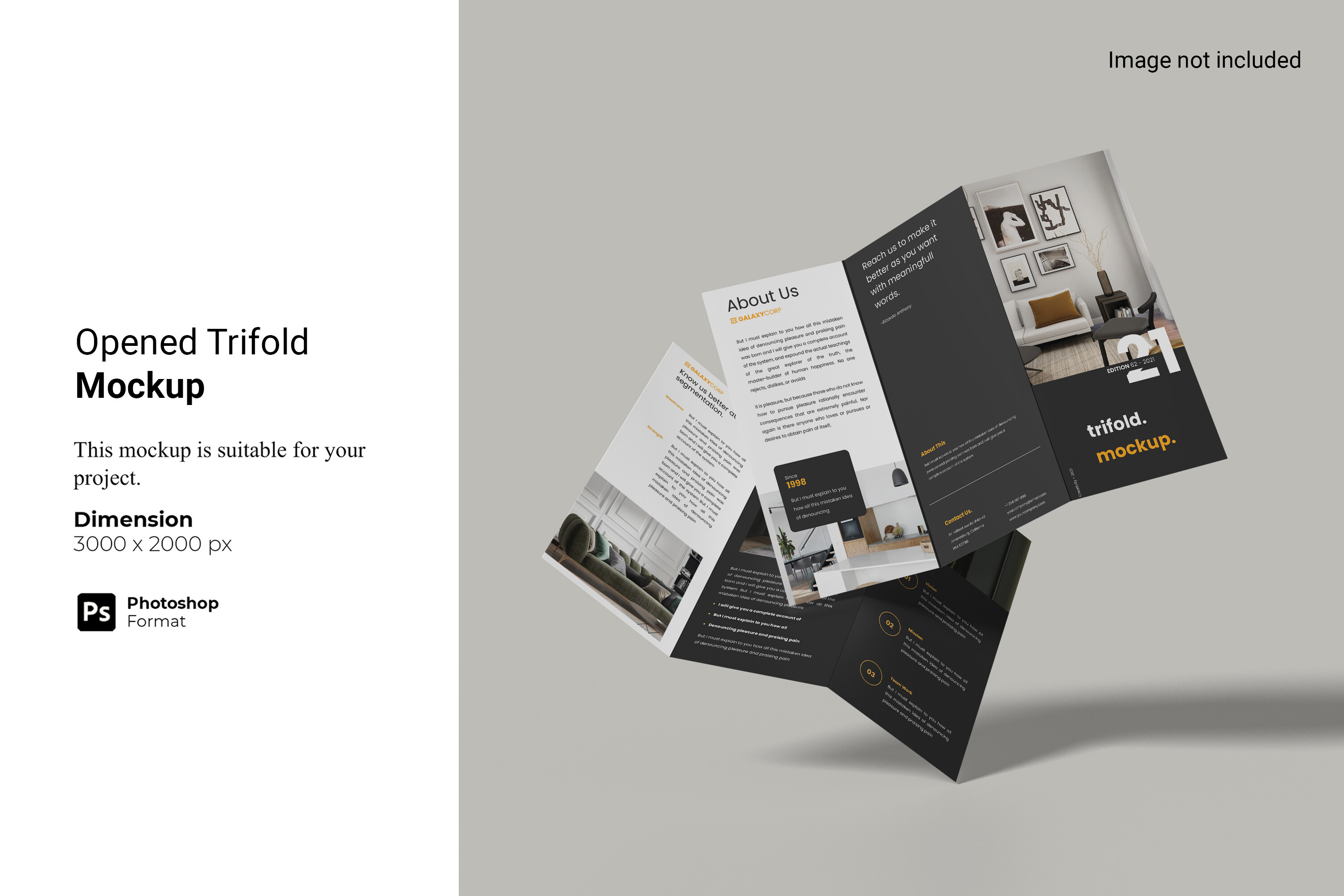 Opened Trifold Mockup Graphic by Ian Mikraz · Creative Fabrica