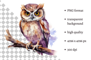 Watercolor Owl PNG Illustration Graphic by MashMashStickers · Creative ...