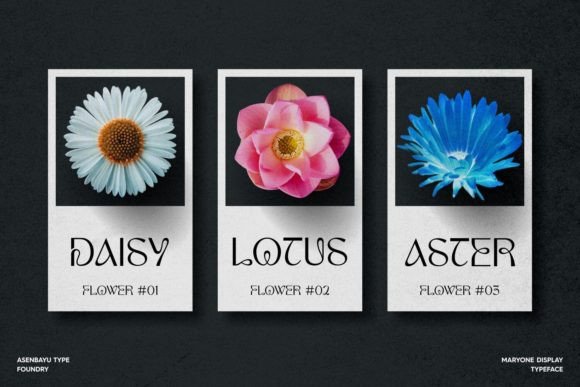 Maryone Font PNG with transparent background - Preview 3