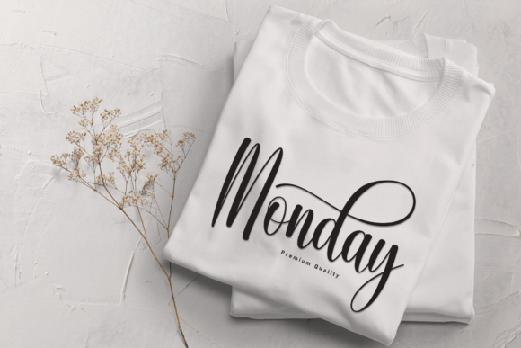 Elegant Calligraphy Font - Preview 3