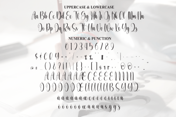 Elegant Calligraphy Font - Preview 6