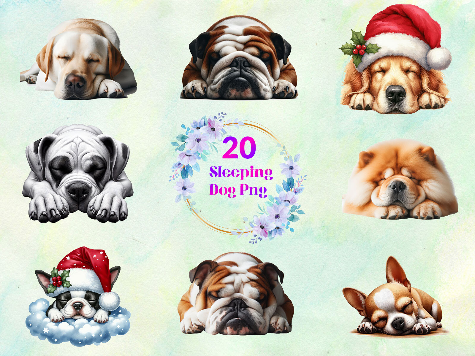 Sleeping Dog PNG Bundle Graphic by DegitalxDesign · Creative Fabrica
