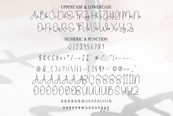 Calligraphy Font - Preview 6