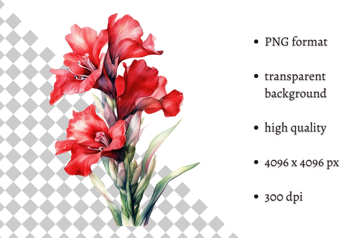 Watercolor Gladiolus, Spring Flowers Cli Graphic by MashMashStickers ...