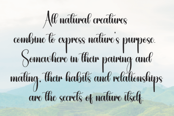 California Font - Preview 5