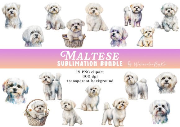 Watercolor Shih Tzu Dog Bundle Clipart Graphic by WatercolorByKr ...