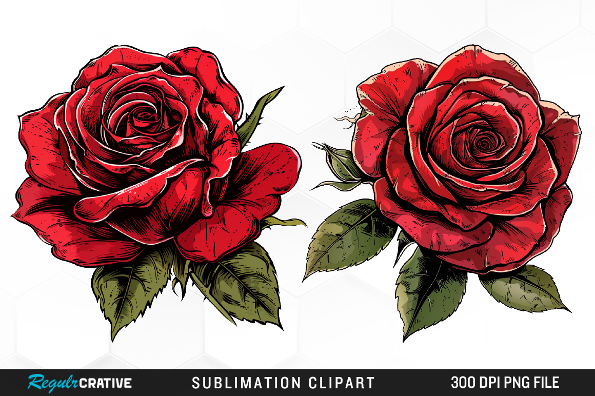 Watercolor Red Roses Clipart PNG Design Graphic by Regulrcrative ...